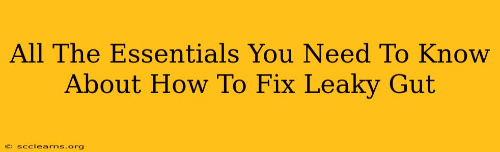 All The Essentials You Need To Know About How To Fix Leaky Gut