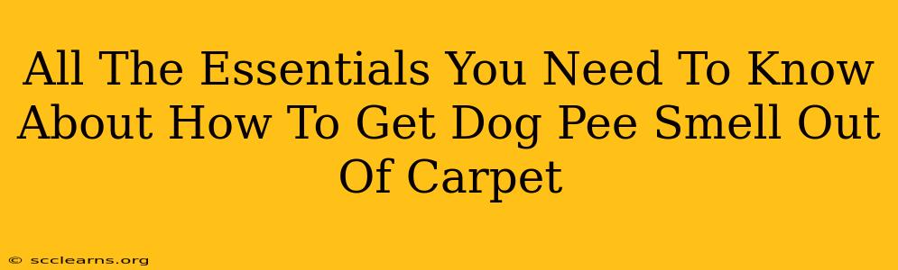 All The Essentials You Need To Know About How To Get Dog Pee Smell Out Of Carpet