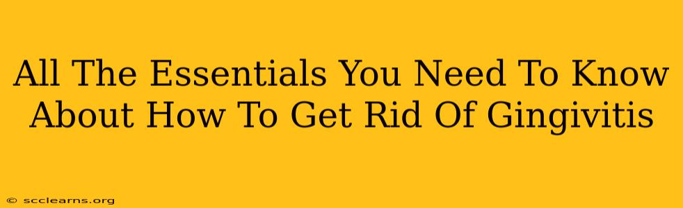 All The Essentials You Need To Know About How To Get Rid Of Gingivitis