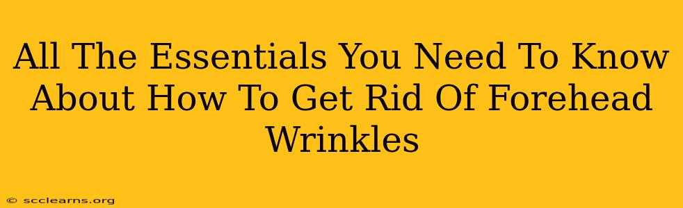 All The Essentials You Need To Know About How To Get Rid Of Forehead Wrinkles