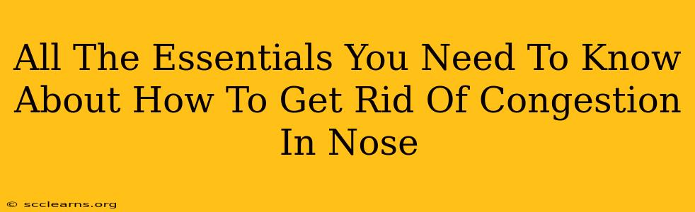 All The Essentials You Need To Know About How To Get Rid Of Congestion In Nose