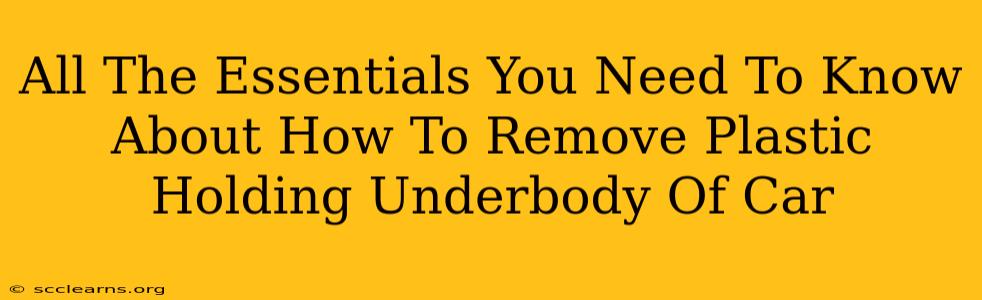 All The Essentials You Need To Know About How To Remove Plastic Holding Underbody Of Car