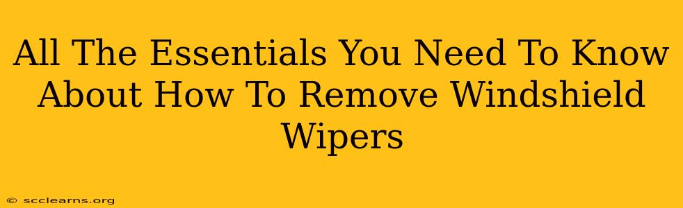 All The Essentials You Need To Know About How To Remove Windshield Wipers