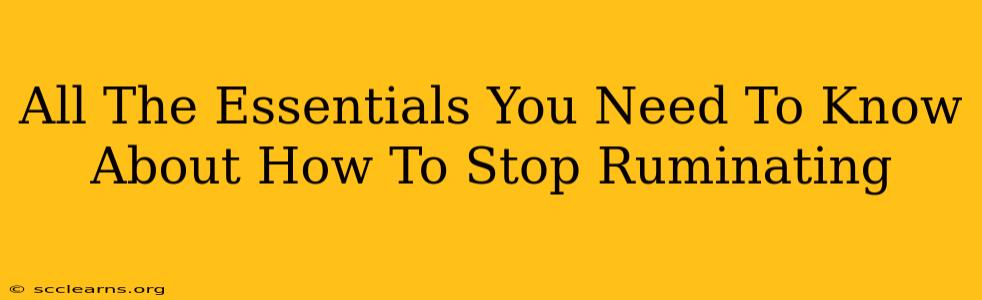 All The Essentials You Need To Know About How To Stop Ruminating