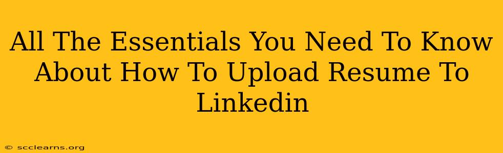 All The Essentials You Need To Know About How To Upload Resume To Linkedin