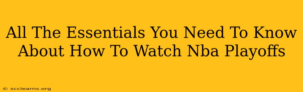 All The Essentials You Need To Know About How To Watch Nba Playoffs