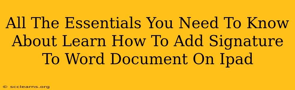 All The Essentials You Need To Know About Learn How To Add Signature To Word Document On Ipad