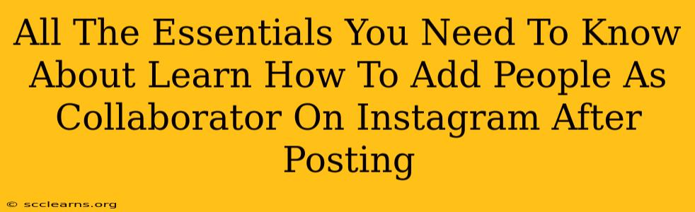 All The Essentials You Need To Know About Learn How To Add People As Collaborator On Instagram After Posting