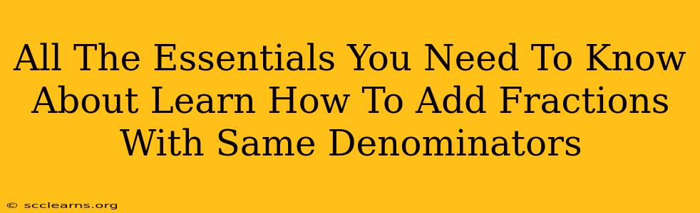 All The Essentials You Need To Know About Learn How To Add Fractions With Same Denominators