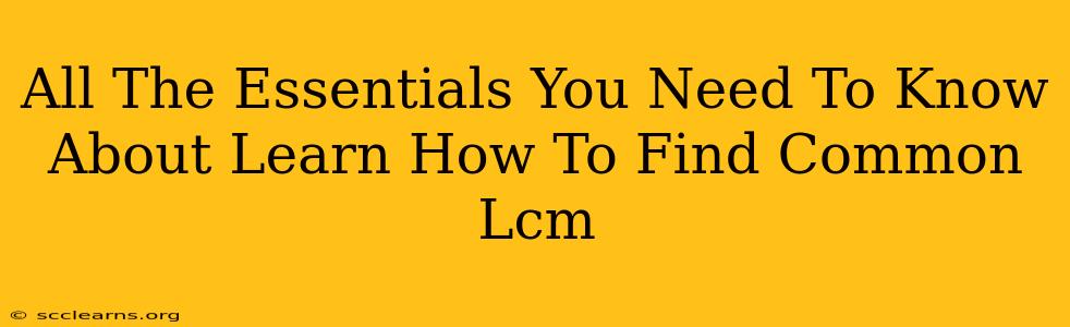 All The Essentials You Need To Know About Learn How To Find Common Lcm