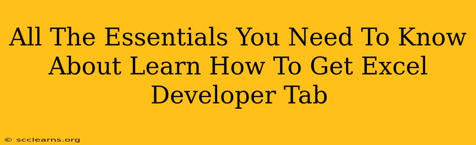 All The Essentials You Need To Know About Learn How To Get Excel Developer Tab