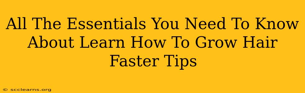 All The Essentials You Need To Know About Learn How To Grow Hair Faster Tips