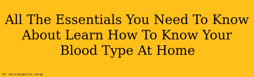 All The Essentials You Need To Know About Learn How To Know Your Blood Type At Home