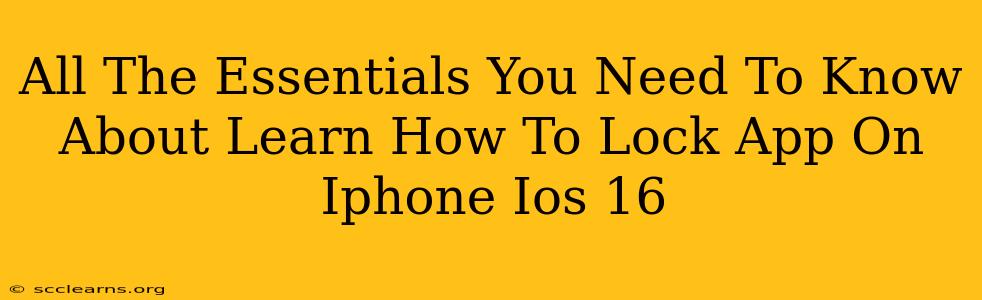 All The Essentials You Need To Know About Learn How To Lock App On Iphone Ios 16