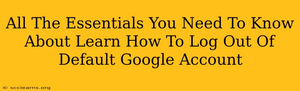 All The Essentials You Need To Know About Learn How To Log Out Of Default Google Account