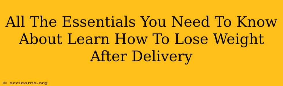 All The Essentials You Need To Know About Learn How To Lose Weight After Delivery