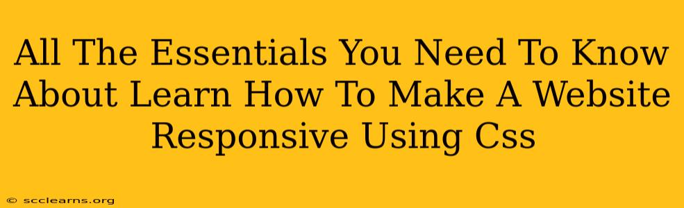 All The Essentials You Need To Know About Learn How To Make A Website Responsive Using Css
