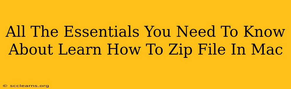 All The Essentials You Need To Know About Learn How To Zip File In Mac