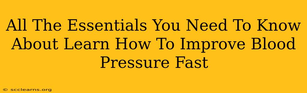 All The Essentials You Need To Know About Learn How To Improve Blood Pressure Fast