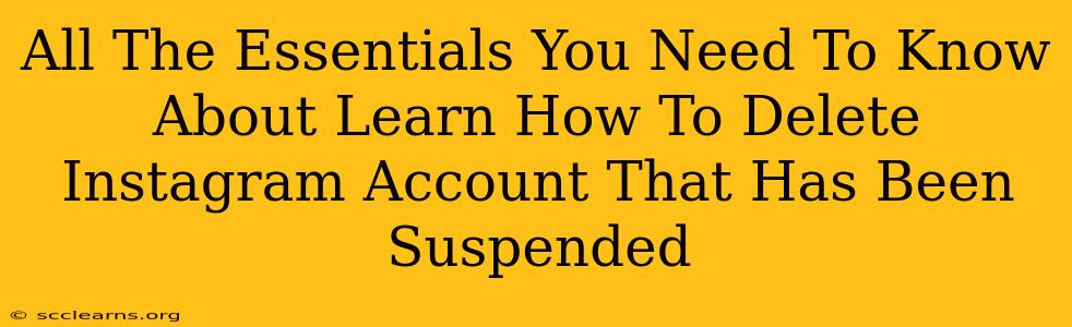 All The Essentials You Need To Know About Learn How To Delete Instagram Account That Has Been Suspended