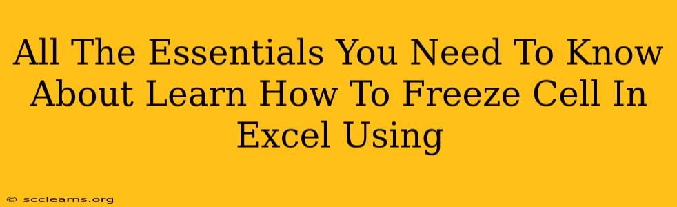 All The Essentials You Need To Know About Learn How To Freeze Cell In Excel Using