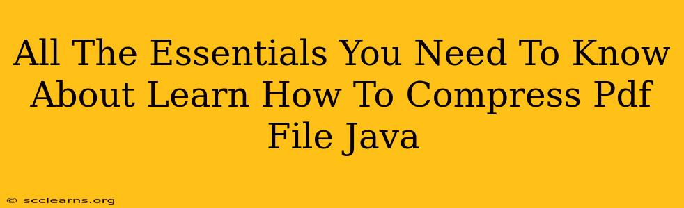 All The Essentials You Need To Know About Learn How To Compress Pdf File Java