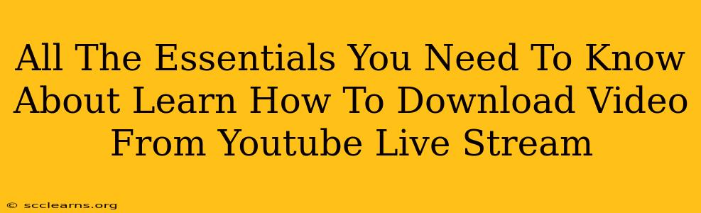 All The Essentials You Need To Know About Learn How To Download Video From Youtube Live Stream