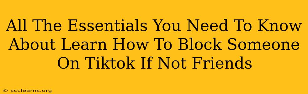 All The Essentials You Need To Know About Learn How To Block Someone On Tiktok If Not Friends