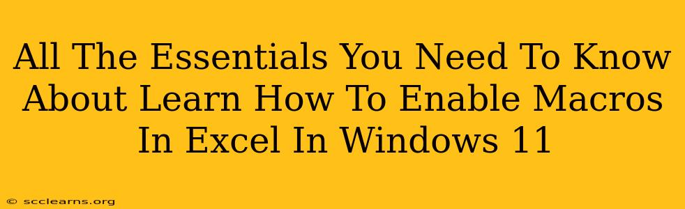 All The Essentials You Need To Know About Learn How To Enable Macros In Excel In Windows 11