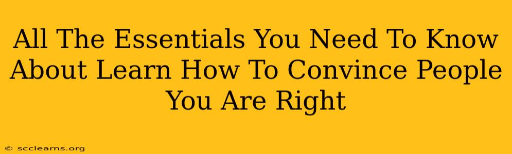 All The Essentials You Need To Know About Learn How To Convince People You Are Right