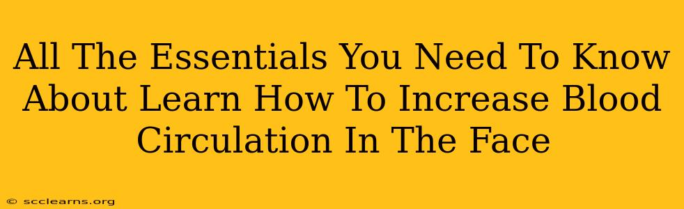 All The Essentials You Need To Know About Learn How To Increase Blood Circulation In The Face