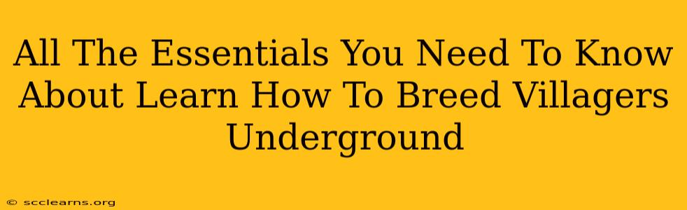 All The Essentials You Need To Know About Learn How To Breed Villagers Underground