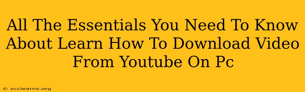 All The Essentials You Need To Know About Learn How To Download Video From Youtube On Pc