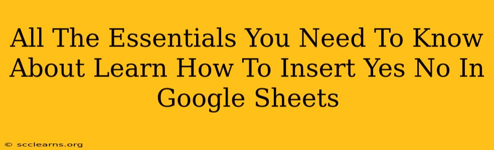 All The Essentials You Need To Know About Learn How To Insert Yes No In Google Sheets