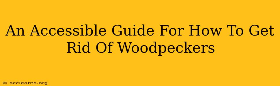 An Accessible Guide For How To Get Rid Of Woodpeckers