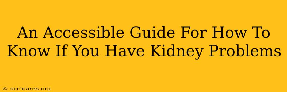 An Accessible Guide For How To Know If You Have Kidney Problems