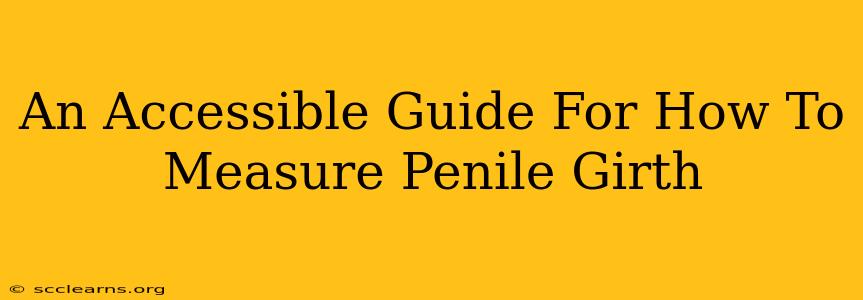 An Accessible Guide For How To Measure Penile Girth