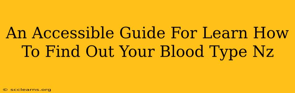 An Accessible Guide For Learn How To Find Out Your Blood Type Nz