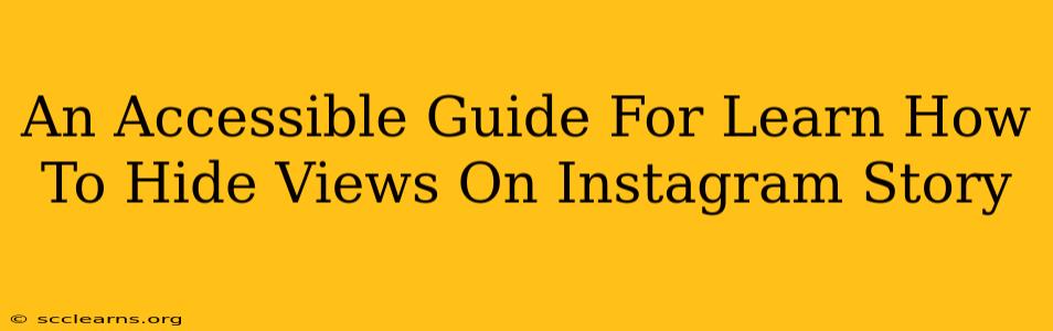 An Accessible Guide For Learn How To Hide Views On Instagram Story