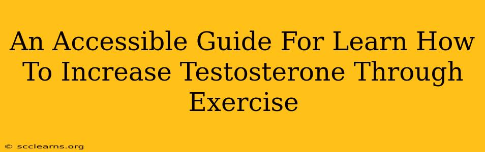 An Accessible Guide For Learn How To Increase Testosterone Through Exercise