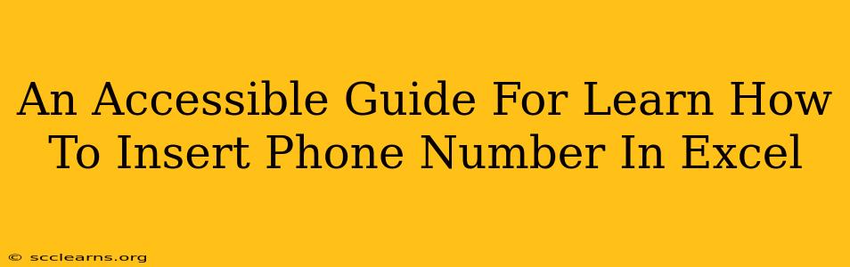 An Accessible Guide For Learn How To Insert Phone Number In Excel