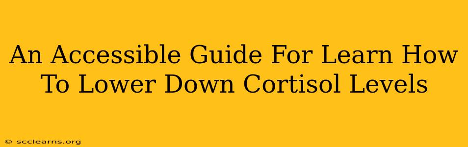 An Accessible Guide For Learn How To Lower Down Cortisol Levels