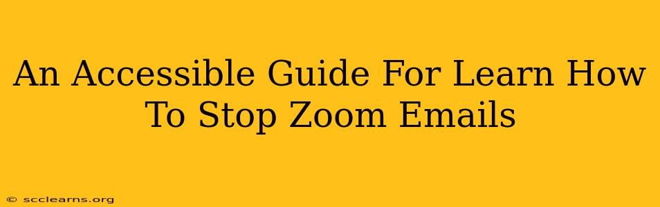 An Accessible Guide For Learn How To Stop Zoom Emails