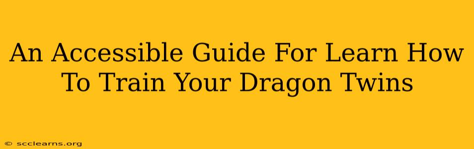 An Accessible Guide For Learn How To Train Your Dragon Twins