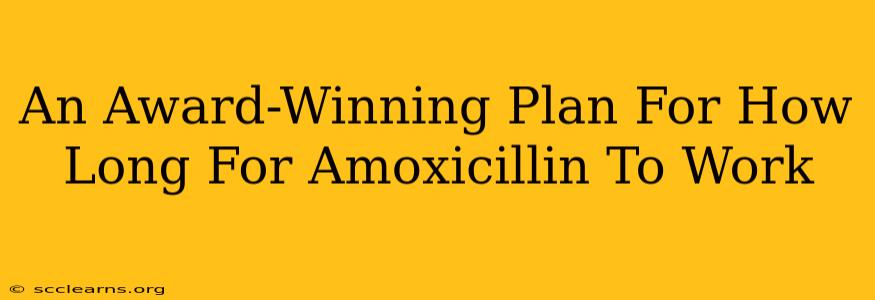 An Award-Winning Plan For How Long For Amoxicillin To Work