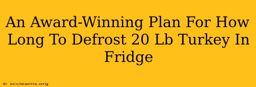 An Award-Winning Plan For How Long To Defrost 20 Lb Turkey In Fridge