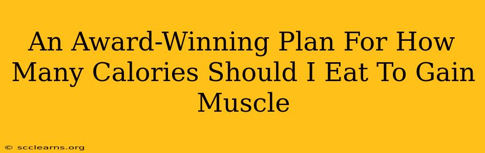 An Award-Winning Plan For How Many Calories Should I Eat To Gain Muscle