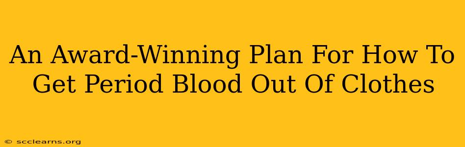 An Award-Winning Plan For How To Get Period Blood Out Of Clothes