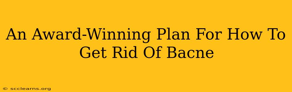 An Award-Winning Plan For How To Get Rid Of Bacne