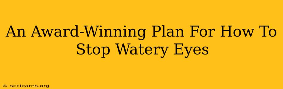 An Award-Winning Plan For How To Stop Watery Eyes